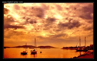 Ali Ekber Fotoğraf Galerisi